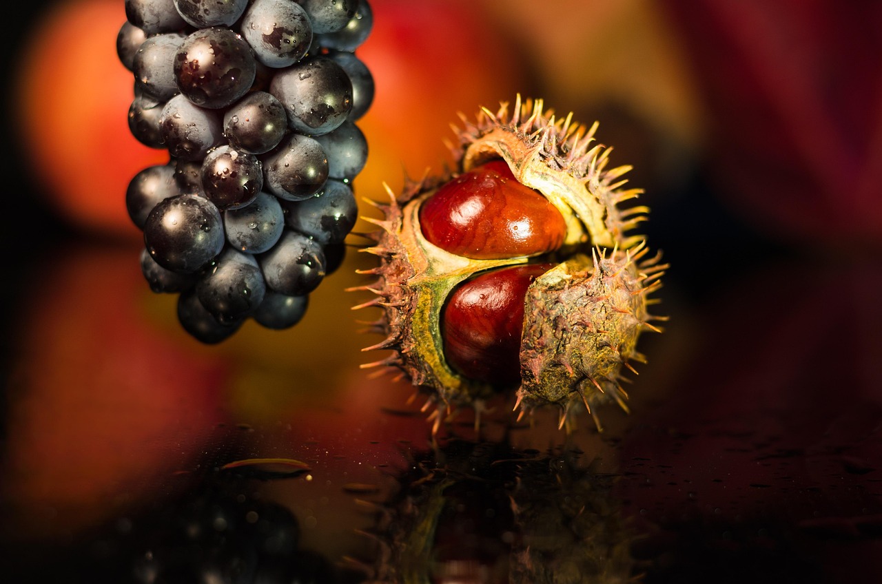 Sturm & Maroni – Austrian Autumn Traditions